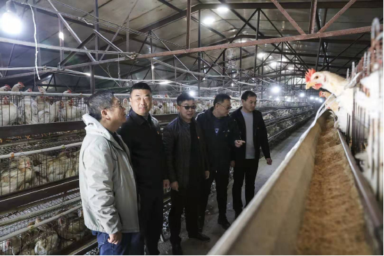 新春走基层|辽宁朝阳北票市：四名“第一书记”抱团领唱脱贫大戏