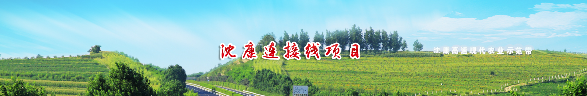 项目最新动态