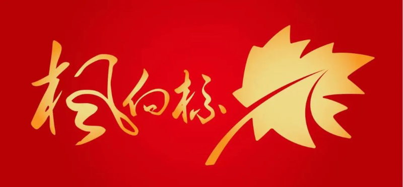 32图片1